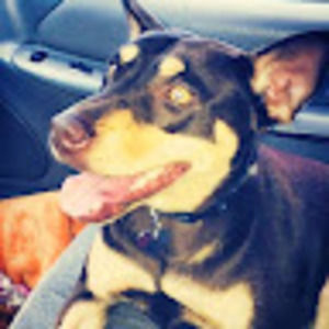 Meet your Posher, Megan